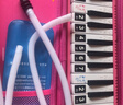 奇美37键专业级马卡龙色学生成人口风琴（马卡龙粉、赠音符贴及吹管） 实拍图