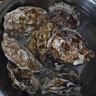 乳山牡蛎 鲜活乳山生蚝5XL 净重5斤 9-10只 生鲜海鲜 源头直发 烧烤食材 实拍图
