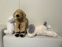 宜家（IKEA）古西格格登玩偶公仔宠物狗抱枕送礼女生睡觉毛绒玩具生日礼物 狗/金毛寻回犬40cm 实拍图