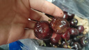 现货美早车厘子大樱桃新鲜智利进口车厘子樱桃水果孕妇当季礼盒 1500g(净重) 巨无霸 JJJ30-32mm 实拍图