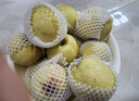 京地达砀山酥梨净重9斤大果330g+ 雪梨贡梨子 年货节送礼 源头直发 包邮 实拍图