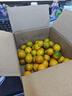 京鲜生 广西滑皮金桔400g装 单果7g起 生鲜水果 源头直发包邮 实拍图