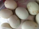 鸭蛋新鲜生鸭蛋60-70g土鸭蛋农家散养青皮白皮生鲜食品超市批发 10枚 实拍图