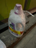 滴露（Dettol）衣物除菌液薰衣草3L 99.9%杀菌除螨 内衣衣物消毒液 可配洗衣液 实拍图