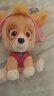 汪汪队立大功（PAW PATROL）毛绒玩具狗狗陪睡玩偶经典款天天小号坐姿可爱公仔男女孩生日礼物 实拍图