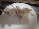 紫白皮蒜水果大蒜超市即食生鲜蔬菜大蒜 特价5头 100g 单果3.5-5cm 实拍图