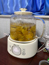 小熊（Bear）全玻璃养生壶 纯玻璃多功能恒温壶 办公室轻音炖煮花茶 1L YSH-J10D1 实拍图