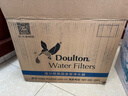 道尔顿（Doulton）净水器家用直饮英国原装进口  道尔顿明星爆款DIS厨下矿物质净水机自来水过滤0废水不用电 DIS套机(自带/加配各1芯共2支) 实拍图