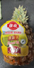 佳农 黑钻菠萝1粒装 菲律宾凤梨 净重2斤起 生鲜水果 源头直发 包邮 实拍图