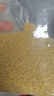 十月稻田 黄小米 2斤 五谷杂粮 低脂粗粮 早餐煮粥 正宗小米饭 米香浓郁 实拍图