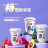 达芬奇酸奶优形纤体杯活性益生菌0蔗糖0代糖羽衣甘蓝西梅340g*4源头直发 实拍图