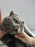 醇粹（Purich）FD猫粮全价冻干猫粮幼猫成猫纯粹猫粮英短美短布偶折耳鸡肉猫粮 鸡肉冻干猫粮5kg【老客推荐】 实拍图