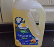 润心【保真山茶油】低温冷榨 一级有机食用油*1.25L 实拍图