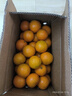 京鲜生 广西皇帝柑 贡柑 净重8斤 单果50mm+ 新鲜水果 源头直发包邮 实拍图
