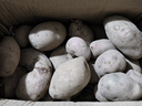 【真便宜】红皮土豆高原黄心土豆马铃薯红皮黄心洋芋 蔬菜水果 红皮土豆 半斤 单果1-3两 实拍图