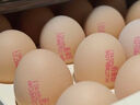 德青源柴垛儿鲜鸡蛋30枚2.58斤 无抗生素 营养早餐 家庭礼盒装 实拍图