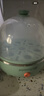 九阳（Joyoung）煮蛋器多功能智能蒸蛋器7个蛋量 ZD7-GE130（飞泉绿） 实拍图