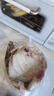 鲜活多宝鱼450-550g/条 实拍图