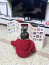 艾杰普（JEPPE）婴儿早教认知卡屏风书围栏宝宝0-6岁看图识字卡儿童玩具新年礼物 实拍图