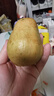 京觅福建红心芭乐 番石榴 应季 低糖孕妇水果 单果150g 净重3斤装 实拍图