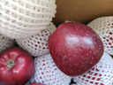 京鲜生 甘肃天水花牛苹果 又大又红 净重10斤 单果200g以上 新鲜水果  实拍图