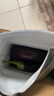 山东新鲜绿把紫皮长茄现摘现发新鲜嫩茄新鲜时令蔬菜生鲜 新鲜绿把紫茄 1斤 现摘现发 实拍图