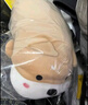 名创优品（MINISO）趴姿系大号趣味狗狗公仔玩偶玩具抱枕靠枕娃娃生日礼物女 卡其色 实拍图