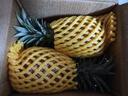 京鲜生海南金钻凤梨净重3.5斤单果900g树上熟新鲜水果生鲜源头直发包邮 实拍图