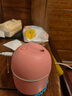 加湿器家用空气加湿器净化器香薰机空调房加湿器喷雾器usb静音卧室孕妇婴儿喷雾宿舍学生女生礼物 标准款【少女粉220ML+纳米雾化+静音加湿】 实拍图
