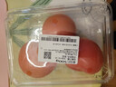 番茄约500g 实拍图