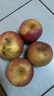 正宗山东红富士苹果丑苹果新鲜水果当季脆甜冰糖心苹果嘎啦果 净重3斤70mm+ 实拍图