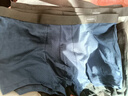 莫代尔4条男士内裤男平角特大码胖子肥佬220斤加肥加大宽松四角裤 纯棉款（黑+宝蓝+深灰+浅灰） 4条 6XL （建议体重240-280斤） 实拍图