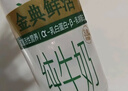 伊利金典3.8g乳蛋白 鲜活纯牛奶250ml*8瓶 30天常温短保 年货礼盒装 实拍图