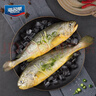 海名威 冷冻黄花鱼700g/2条 宁德大黄鱼地标 海鲜水产 生鲜鱼类 年货节 实拍图