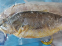 海名威宁德三去大黄鱼 对半厚切黄花鱼 净重700g/2片 海鲜水产 年货节 实拍图