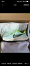 耐克（NIKE）男子耐克飞马公路跑步鞋 AIR ZOOM PEGASUS 39 DH4071-301 41 实拍图