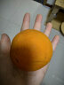 云冠橙云南冰糖橙 优级果 净重10斤 单果约130g 水果源头直发 实拍图