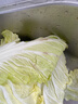 【霜打菜】翡翠褶大白菜1.2kg 实拍图