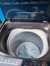 Haier海尔波轮洗衣机全自动8/10公斤大神童大容量租房家用神器升级除菌除螨洗柔护内筒以旧换新补贴统帅 8公斤双侧仿生过滤器+15分钟速洗+强力洗+桶自洁 实拍图