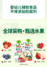 果乐士100%水果泥 苹果泥 儿童辅养食 100g*1袋 实拍图