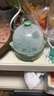 九阳（Joyoung）煮蛋器多功能智能蒸蛋器 14个蛋量 ZD14-GE140（飞泉绿） 实拍图