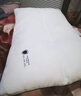京东京造 A类五星级酒店枕 瑞士抗菌60支全棉贡缎面料枕头 48*74cm单只 实拍图