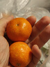 京鲜生 广西砂糖橘 净重8斤 单果35-45mm  新鲜水果 源头直发包邮 实拍图