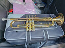 津宝JBTR-430小号乐器 降B调儿童初学学生演奏考级黄铜西洋吹管乐器 实拍图