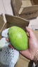 甜萌果蔬芒果金煌芒水仙芒果青皮大芒果甜心芒新鲜水果次日孕妇达送礼 活动装｜尝鲜优果【香甜多汁】 5斤装【80%选择|超值推荐】净4.5斤 实拍图