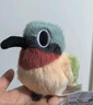 捉趣翠鸟毛绒玩具可爱小鸟玩偶公仔睡觉桌伴抱枕陪睡娃娃生日新年礼物 叉尾太阳鸟-约11cm 鹦鹉鸟系列 实拍图