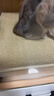 喵仙儿猫抓板剑麻垫耐磨不掉屑防猫爪沙发保护墙贴猫抓垫猫咪用品 40*60 实拍图