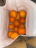 江西赣南早脐橙整箱当季新鲜早橙子榨汁水果礼盒皮薄多汁节日团购 【90%人选】净重9斤单个200g+ 实拍图