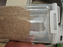 阿司倍鹭（ASVEL）米桶防虫储米箱 厨房杂粮面粉收纳桶 家用储米容器防潮食品级2KG 实拍图