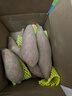 鲁韵忆乡【新】山东烟薯25号红薯糖心蜜甜薯烤薯地瓜番薯新鲜蔬菜精选好果 烟薯净重4.5斤（单果3-8两） 实拍图